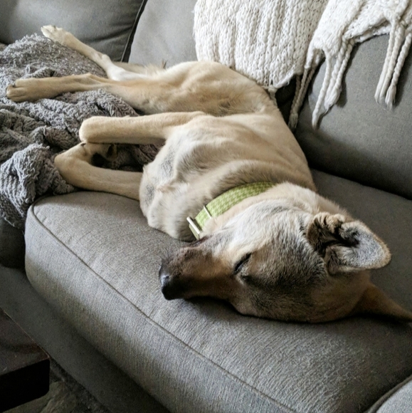 I'm Live! Come Sleep On Posh With Me!! - Picture 4 of 10